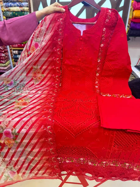 Pakistani Inspired Item